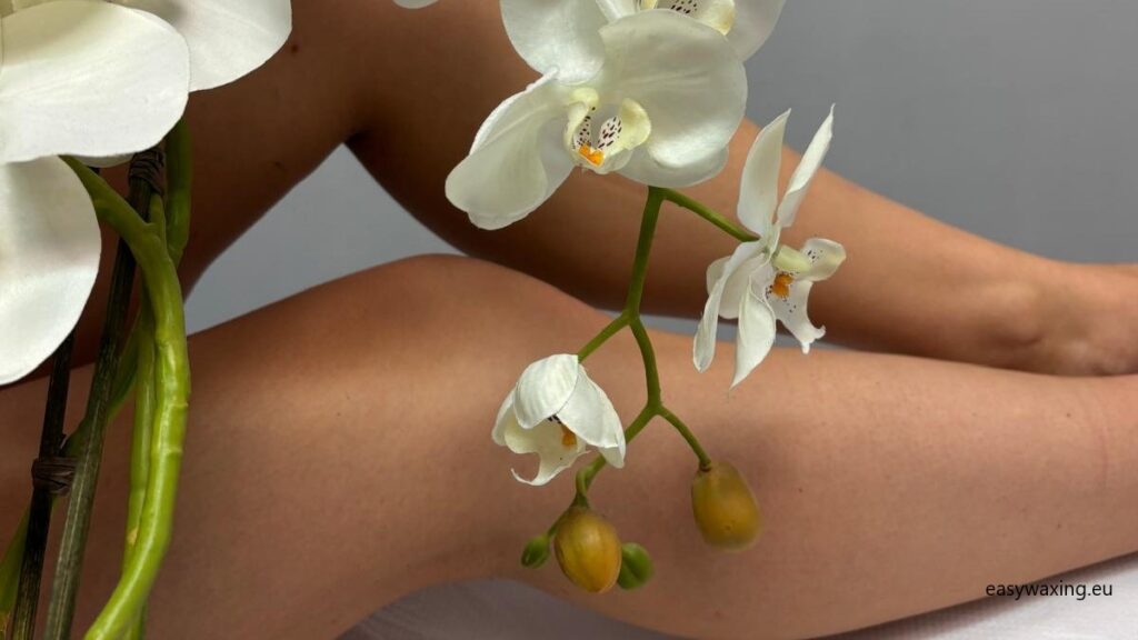 EpilFree hair removal