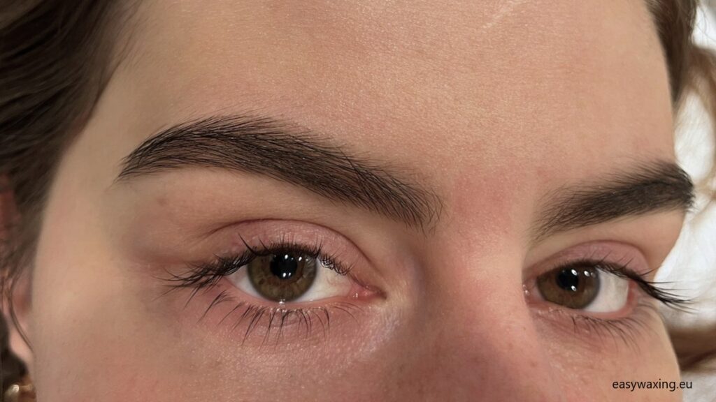 Henna Allergy – Eyebrows and Lashes – Symptoms and Appearance