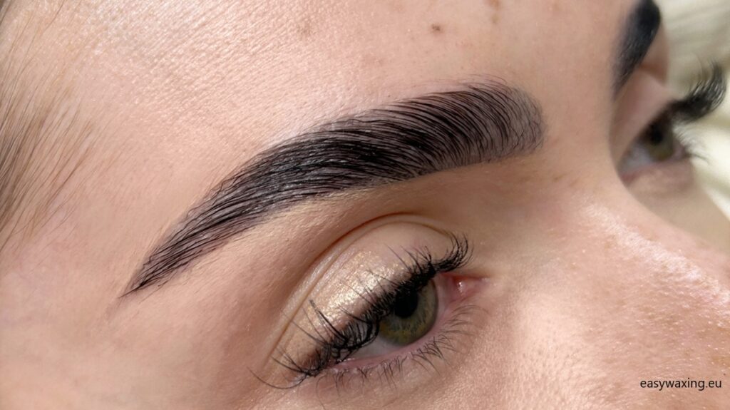 Eyebrow and Eyelash Lamination – How Long Does It Take?