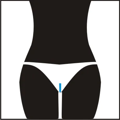 brazilian bikini with landing strip