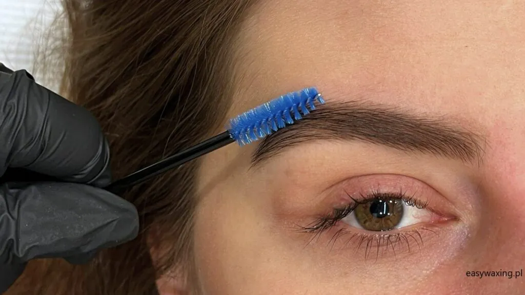 Henna brwi i rzęs pudrowa – co to jest? Czy dłużej się trzyma?