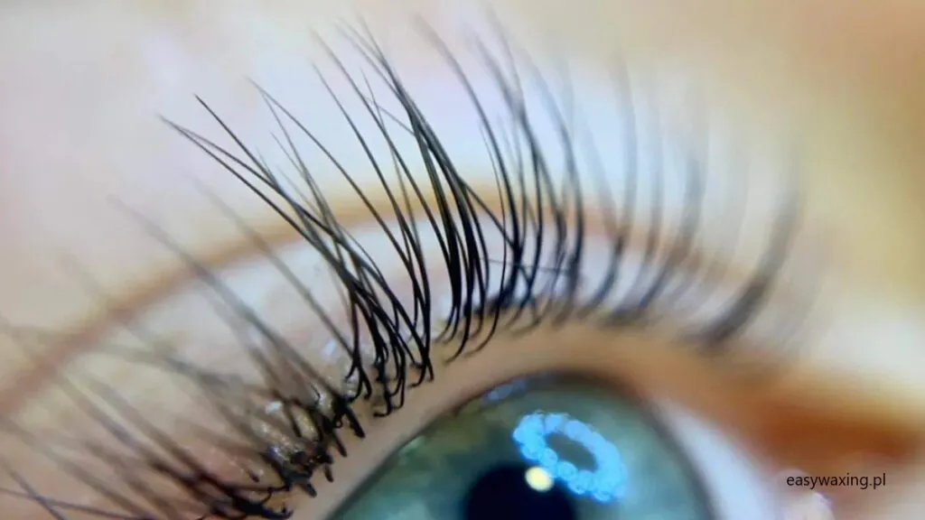 Lifting rzęs dla kogo czy warto – jak dobrze dobrać do oka i jak mocno podkręcić?